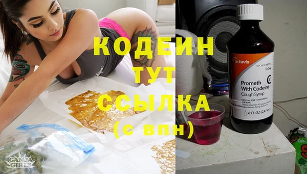 молекула духа Липки